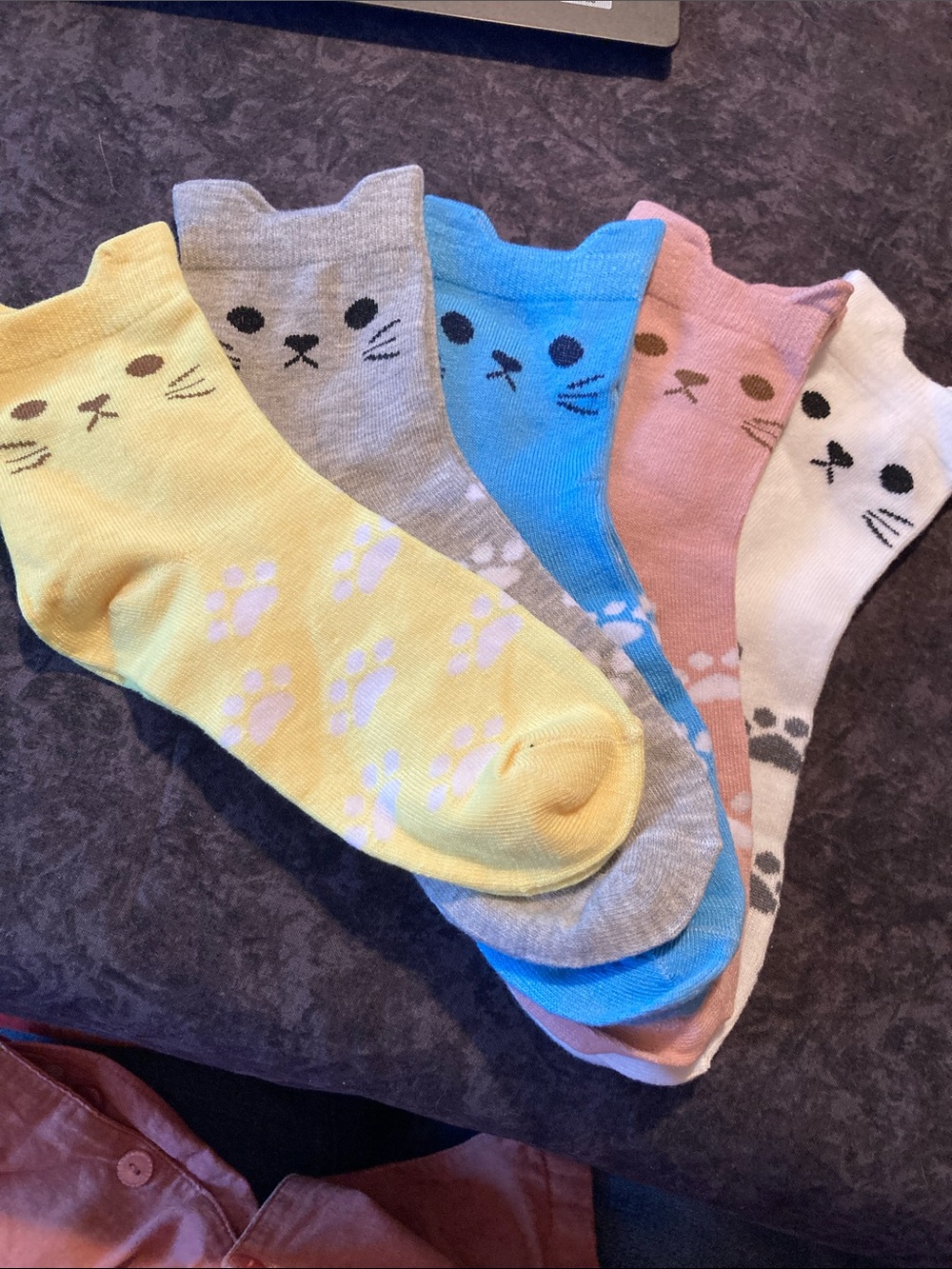 New 5 Pack of Colorful Cat Kitten Socks